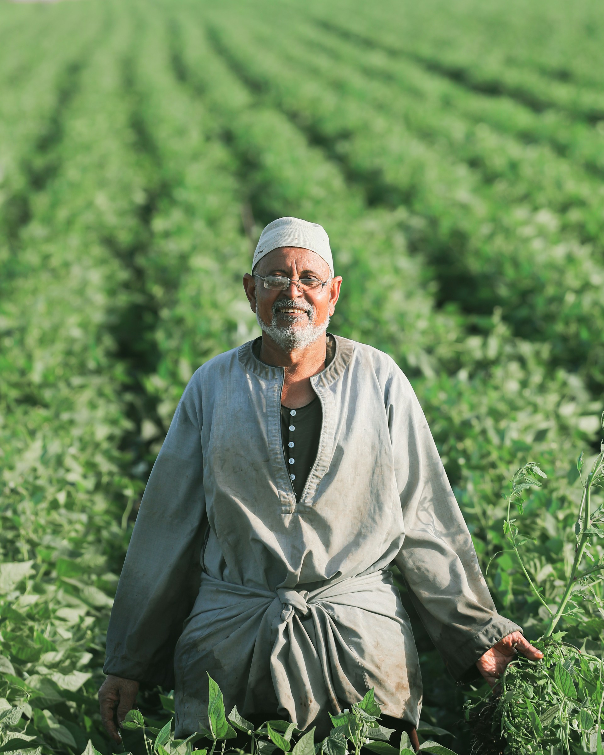 Farmers working in a sustainable agriculture project