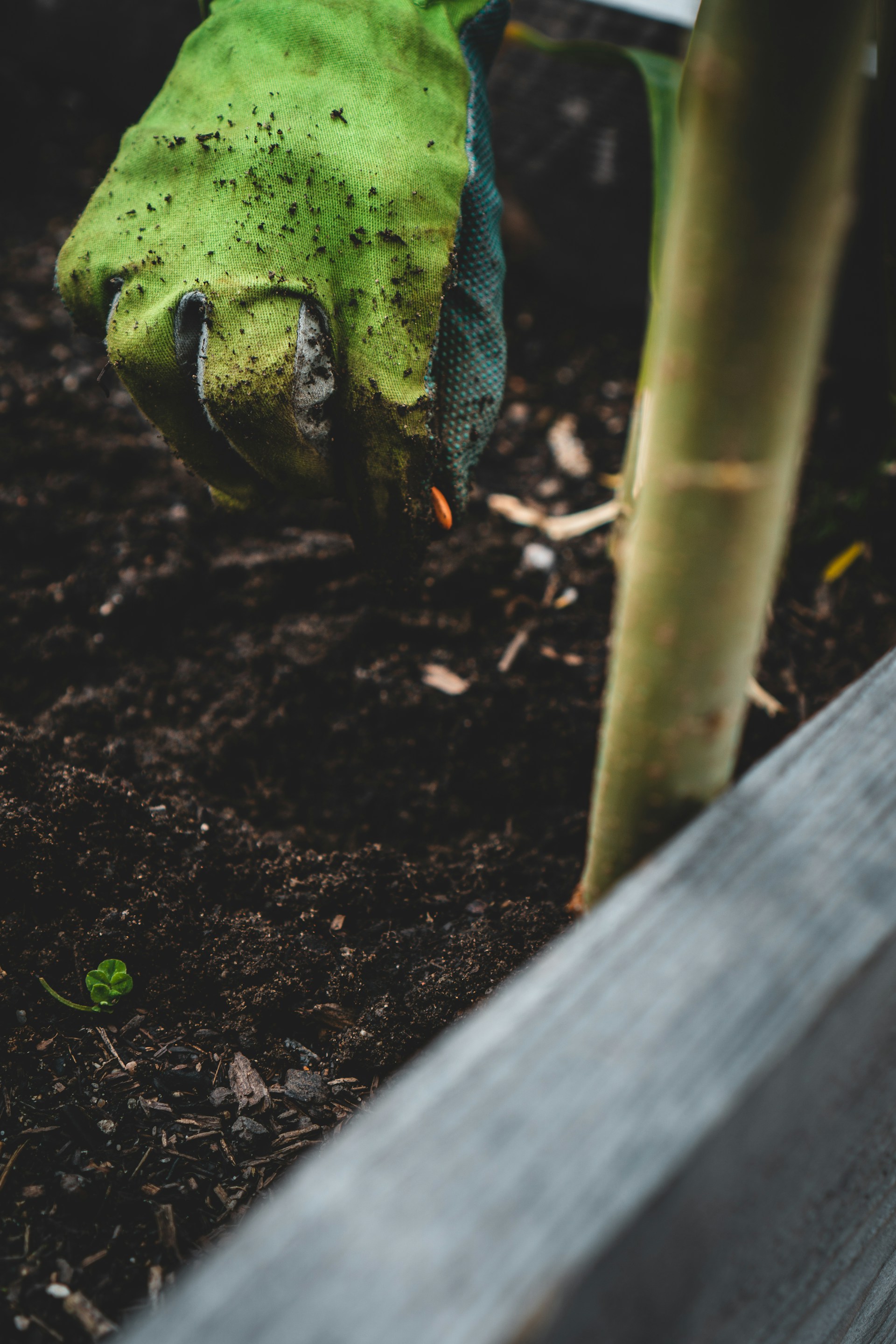 Environmental Sustainability