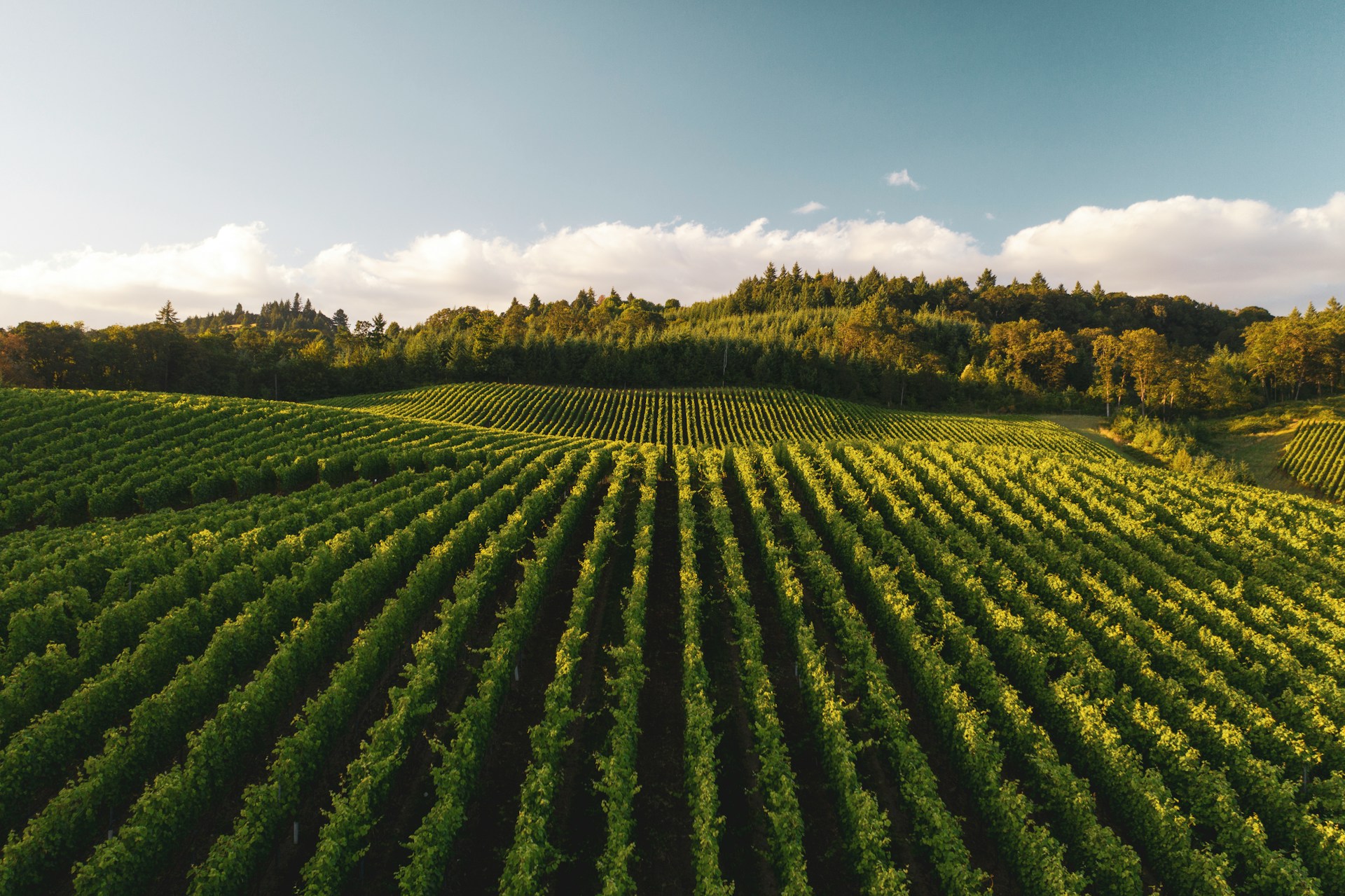 Food Security and Nutrition