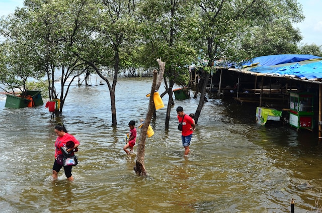 Flood Response