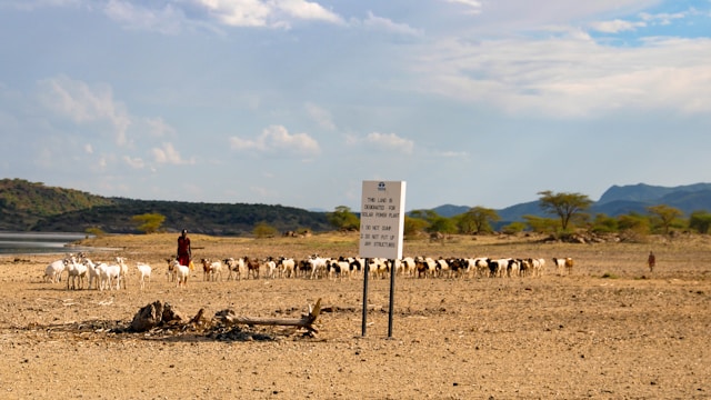 Community Irrigation System
