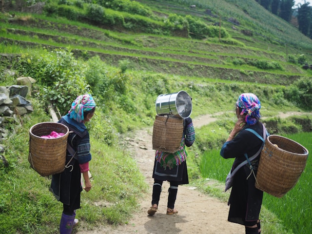 Women's Agricultural Cooperative